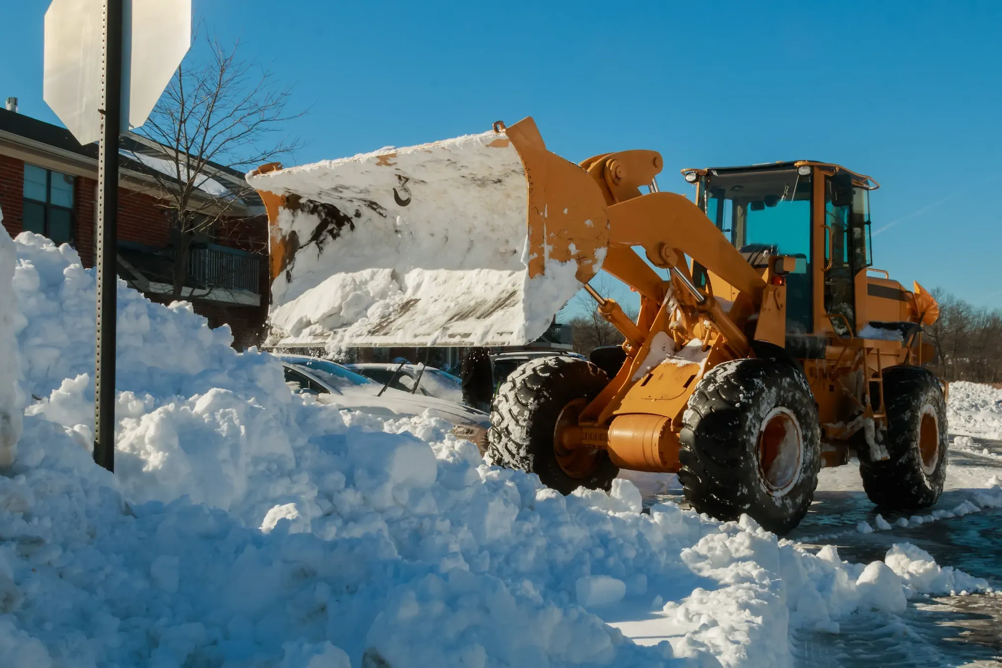 Snow Removal Services